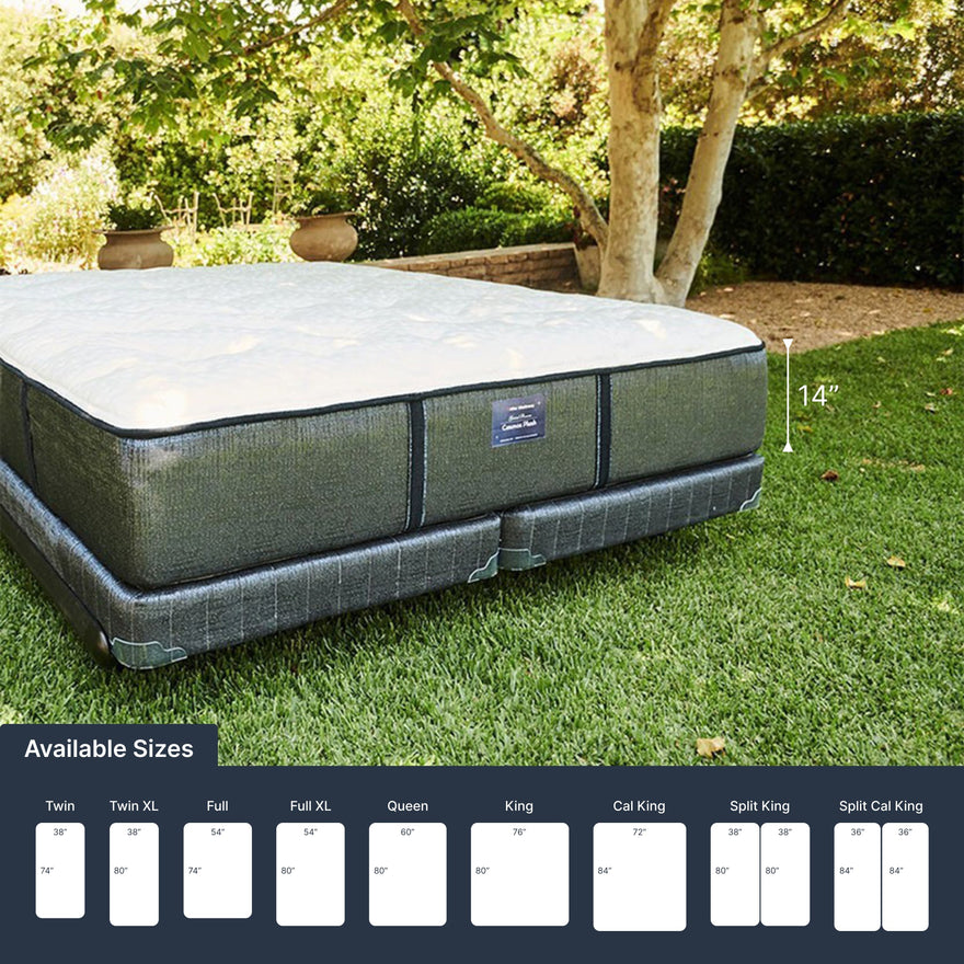 Cosmos Plush (FLOOR SAMPLE)